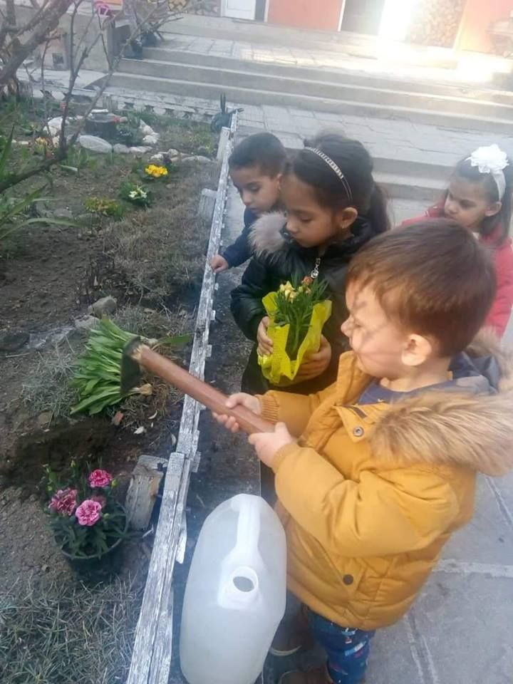Озеленяване на двора в детската градина 2