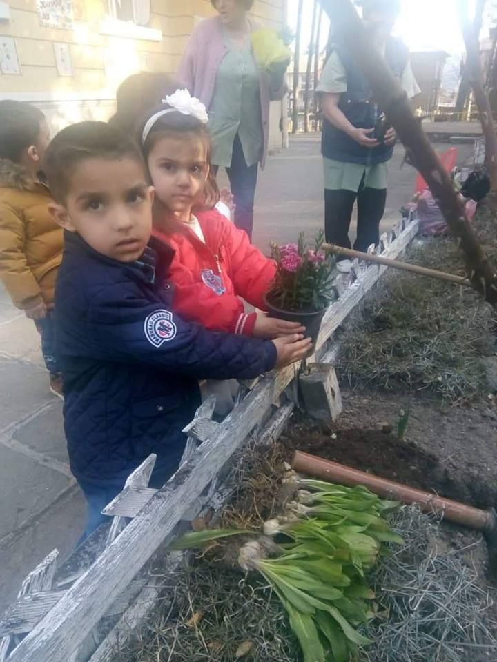 Озеленяване на двора в детската градина 3