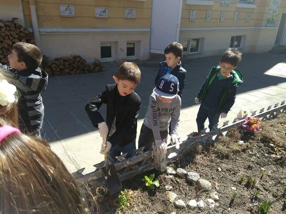 Озеленяване на двора в детската градина 4