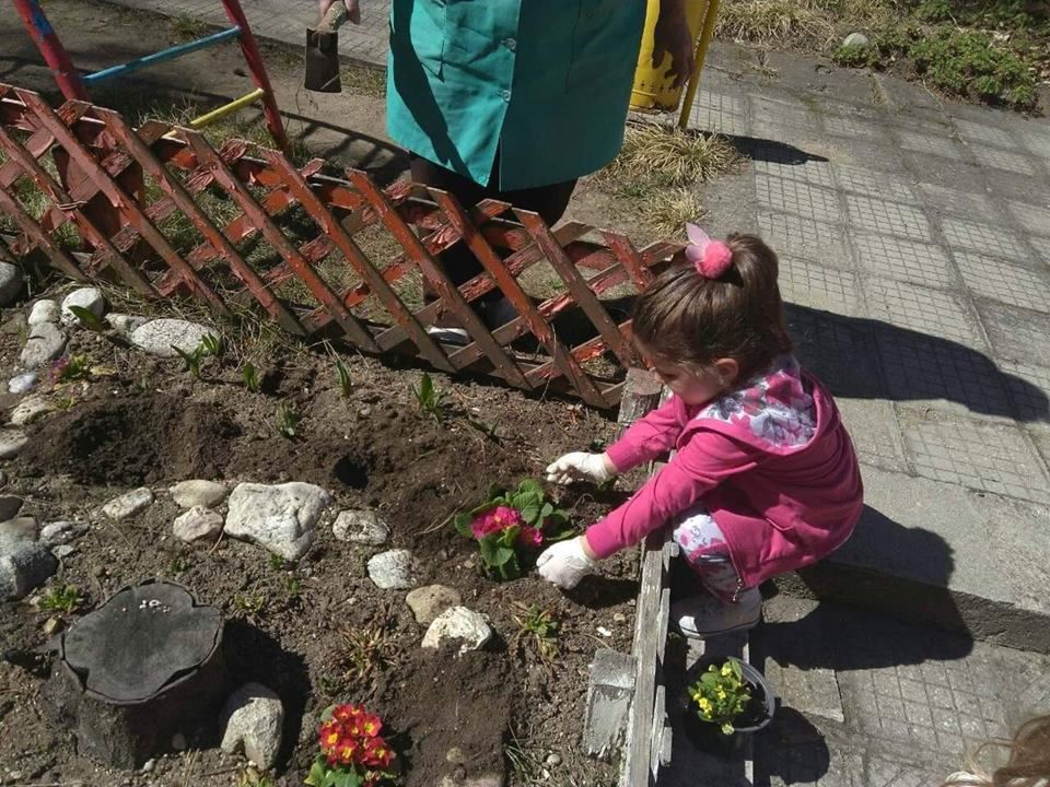 Озеленяване на двора в детската градина 7